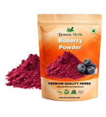 Bilberry Powder - Branzia Herbs