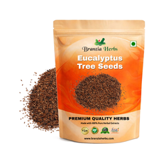 Eucalyptus/Nilgiri/Safeda Tree Seeds Branzia Herbs