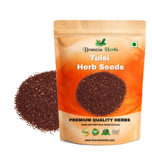 Tulsi Shyama Plant Seeds | Krishna Tulsi | Herb Seeds Branzia Herbs