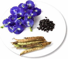 Clitoria Ternatea Seeds | Blue Butterfly Pea | Blue Aparajita Seeds | Flower Plant Seeds for Home Gardening