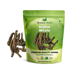 Anjbar | Knotgrass | Polygonum Viviparum - Branzia Herbs