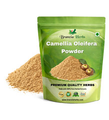 Camellia Oleifera Extract Powder - Branzia Herbs