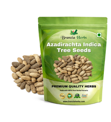 Azadirachta Indica Neem Seeds Branzia Herbs