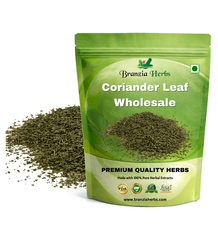 Coriander Leaf Wholesale - Branzia Herbs