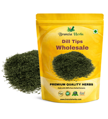 Dill Tips Wholesale - Branzia Herbs