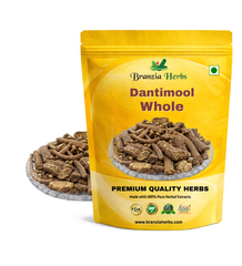 Dantimool -Danti mool -Baliospermum Montanum-Hakum - Branzia Herbs