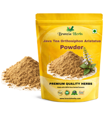 Natural Java Tea Orthosiphon Aristatus Extract - Branzia Herbs
