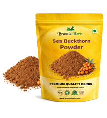 Sea Buckthorn Powder - Branzia Herbs