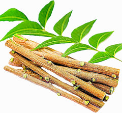 Neem Daatun Sticks | Raw Herbal Neem Datun | Natural Jadi Booti Neem Datoon | Approx. 6 Inch