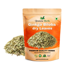 Ginkgo Biloba dry Leaves - Branzia Herbs
