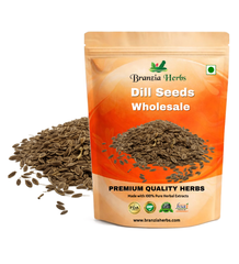 Dill Seeds Wholesale - Branzia Herbs