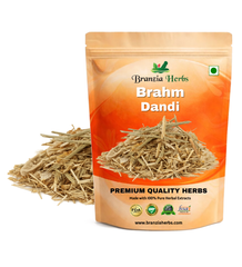 Brahm Dandi | Oont Katara | Tricholepis angustifolia - Branzia Herbs
