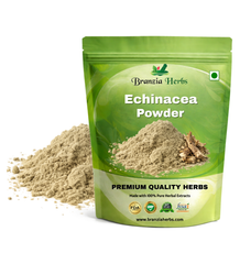 Echinacea Powder - Branzia Herbs