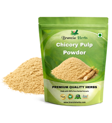 Chicory Pulp  powder - Branzia Herbs