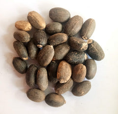 Barbados Nut Seeds | Jatropha Curcas Seeds | Ratanjot Seeds for Plantation & Gardening