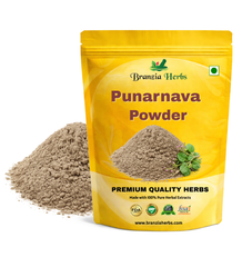 "Punarnava Powder – Boerhavia diffusa " - Branzia Herbs