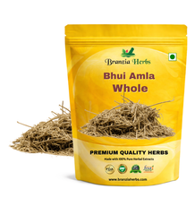 Bhui Amla or Bhumi Amla - Phyllanthus Niruri Branzia Herbs