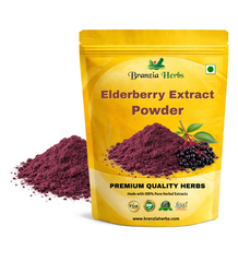 Elderberry Extract Powder - Branzia Herbs