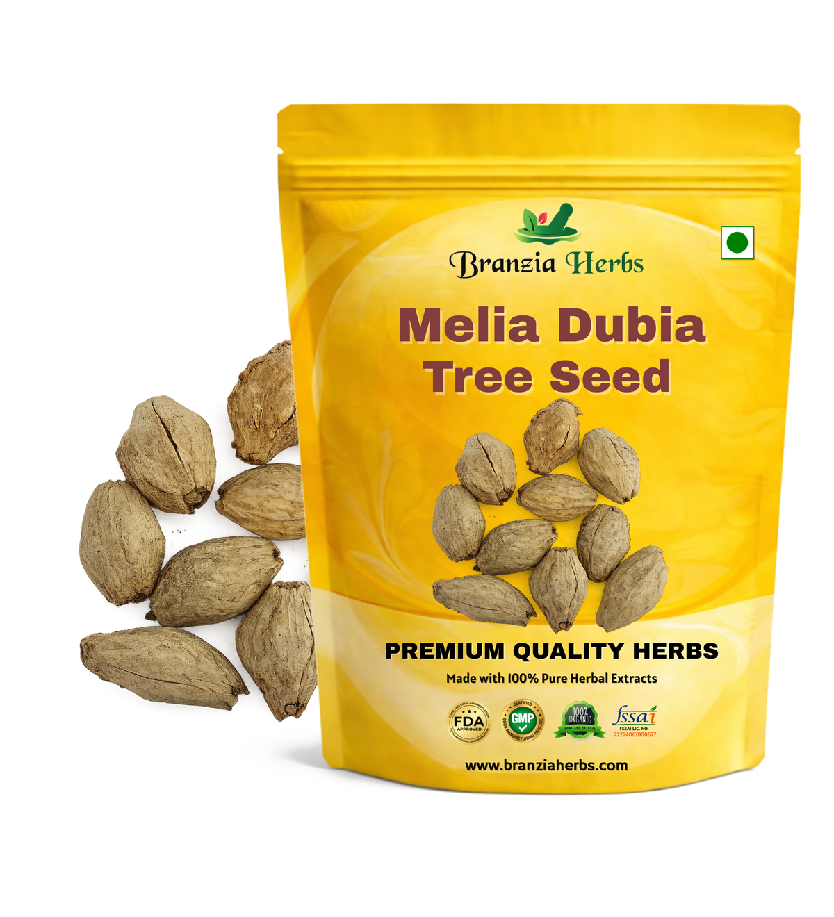 Melia Dubia Tree Seed, Malabar Neem Seed Branzia Herbs