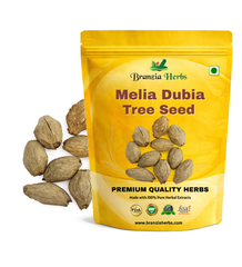 Melia Dubia Tree Seed, Malabar Neem Seed Branzia Herbs