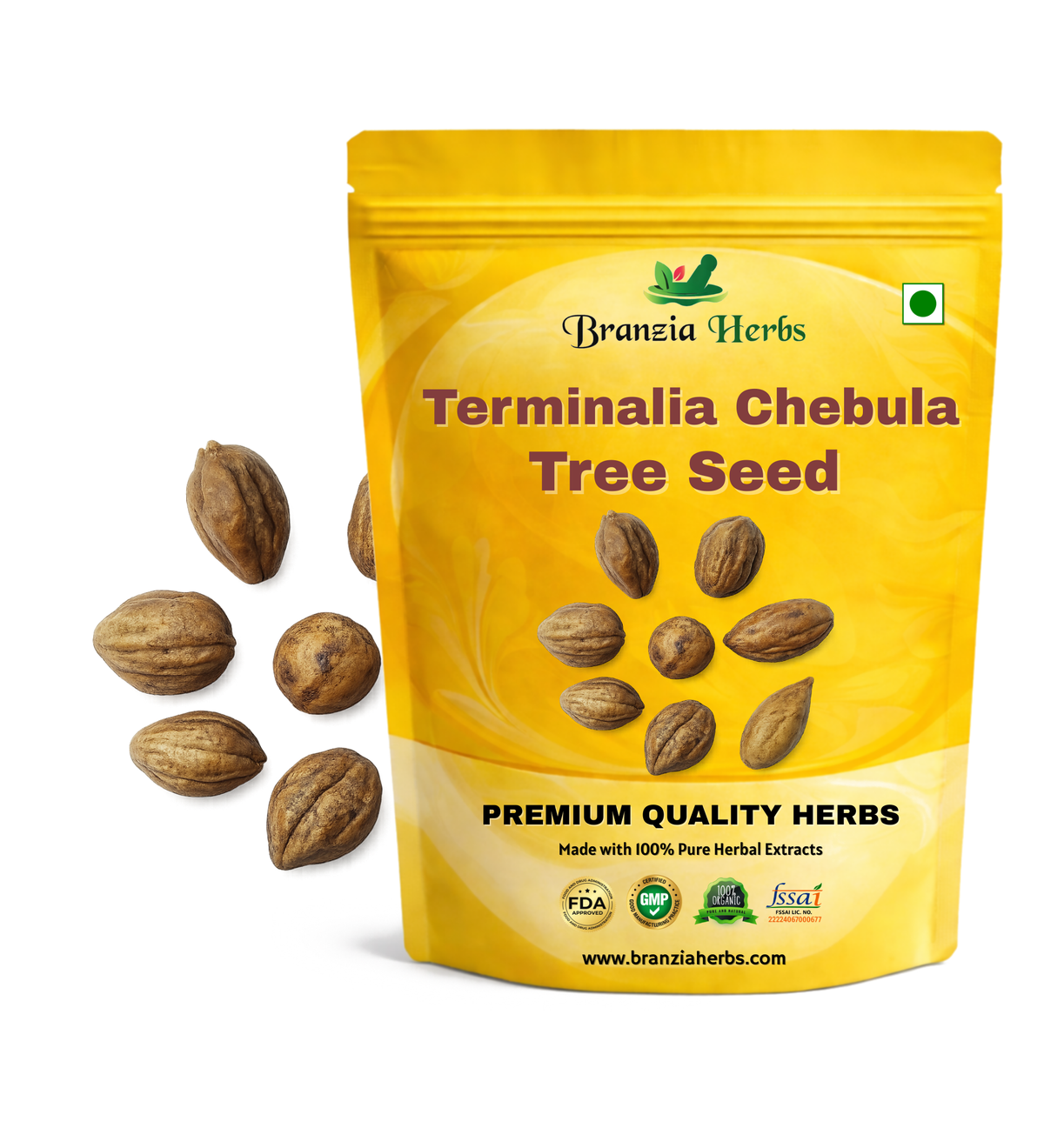 Terminalia Chebula Tree Seeds Branzia Herbs