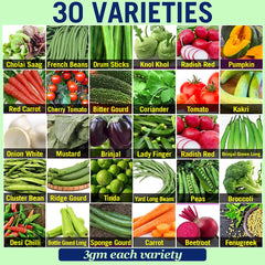 Vegetable Seeds for Home Gardening Vegetable Seeds for Outdoors | Gardening Planting Seeds for Kitchen |Organic Green Vegetable Seeds for Pots - Branzia Herbs