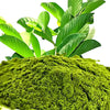 Natural Guava Leaves Powder | Dehydrated Guava Leaf Herbal Powder | Organic Leaf Powder