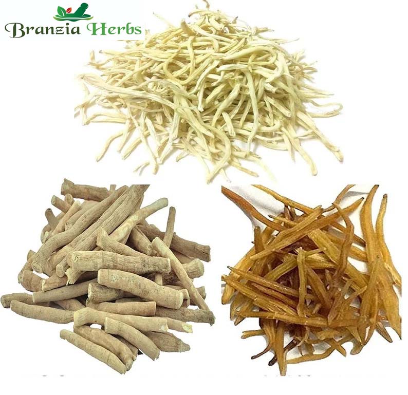 "Safed Musli, Shatavari, Ashwagandha Root 300 Gm Combo Pack 100 Gm Each Herb " - Branzia Herbs