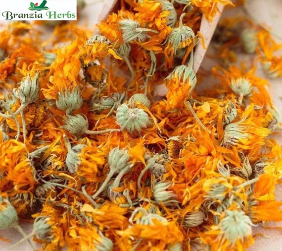 Calendula Flower (Dried) - Calendula officinalis - Branzia Herbs