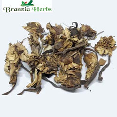 Dried Blue Lotus Flower - Neel Kamal Phool - Nymphaea caerulea - Blue water lily - Branzia Herbs