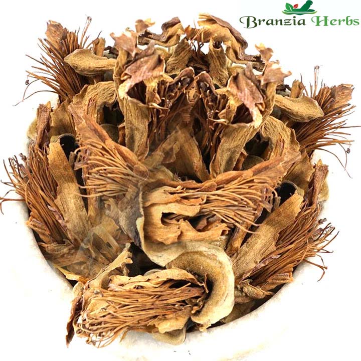 Semal Phool (Dried) - Simbal Phool - Simbal Flower - Bombax Malabaricum