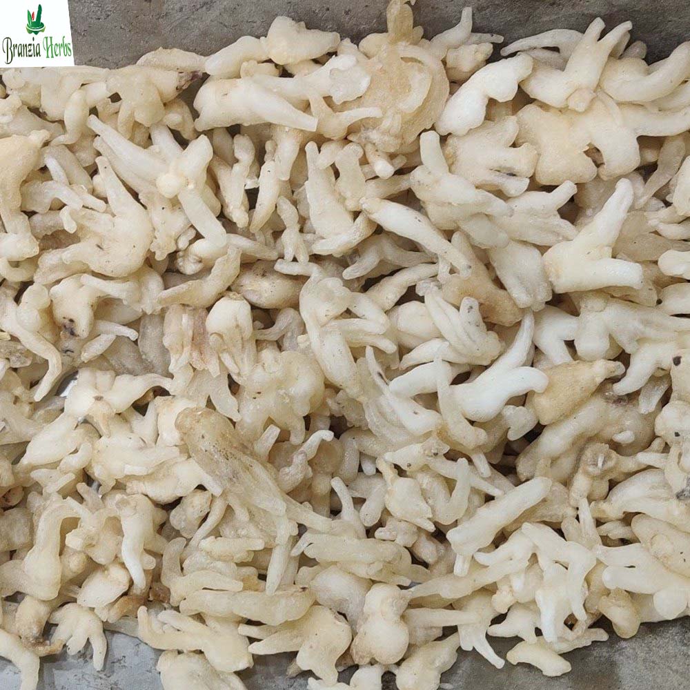 White Sugar Free Salam Panja