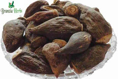Natural Salab Gatta - Salam Gatta - Saalam Gutta - Saalab Gatta - Orchid Root