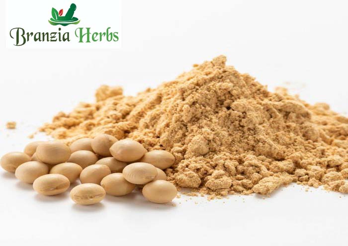 Soyabean Powder