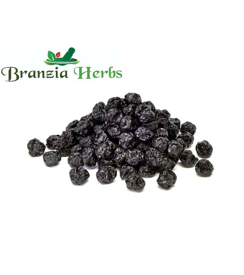 Blue Berry - Branzia Herbs