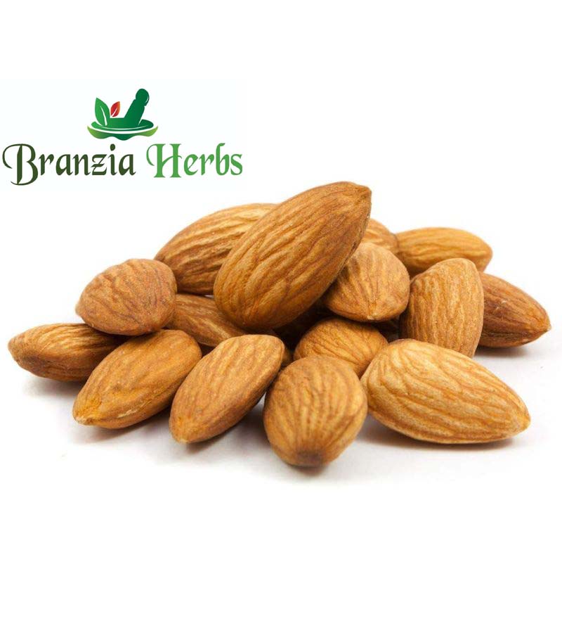 California Almond (Badam) - Branzia Herbs