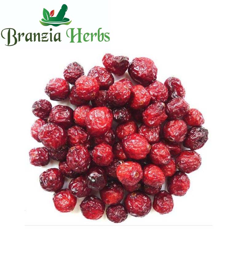 Cran Berry - Branzia Herbs