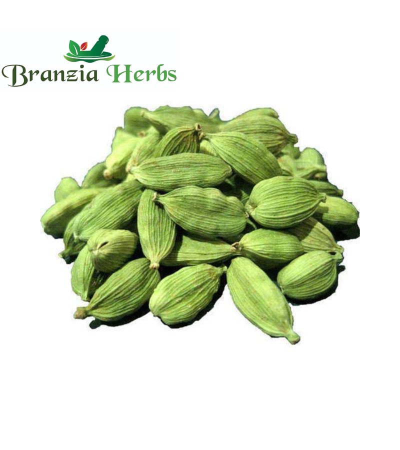 Elaichi Normal (Cardamom) - Branzia Herbs