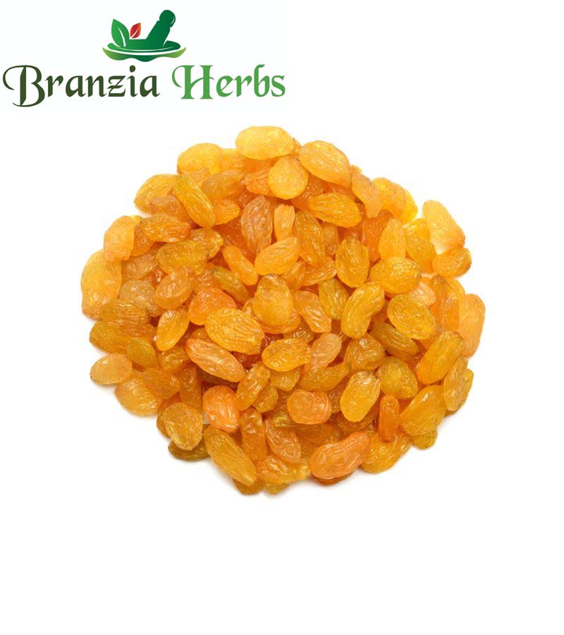 Golden Raisin Kishmish - Branzia Herbs