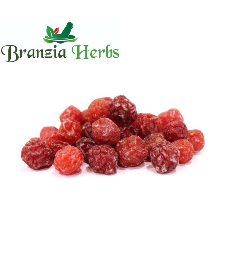 Red Plum Berry - Branzia Herbs