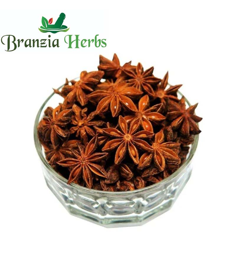 Star Flower - Branzia Herbs