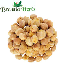 Apricot (Khubani) - Branzia Herbs