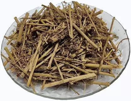 Afsanteen - Artemisia Absinthium - Wormwood - Branzia Herbs