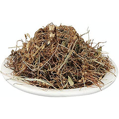 Amar Bel - Akash Bel - Afteeyun - Aftimoon - Dodder - Cuscuta reflexa - Branzia Herbs