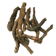 Anjbar | Knotgrass | Polygonum Viviparum - Branzia Herbs