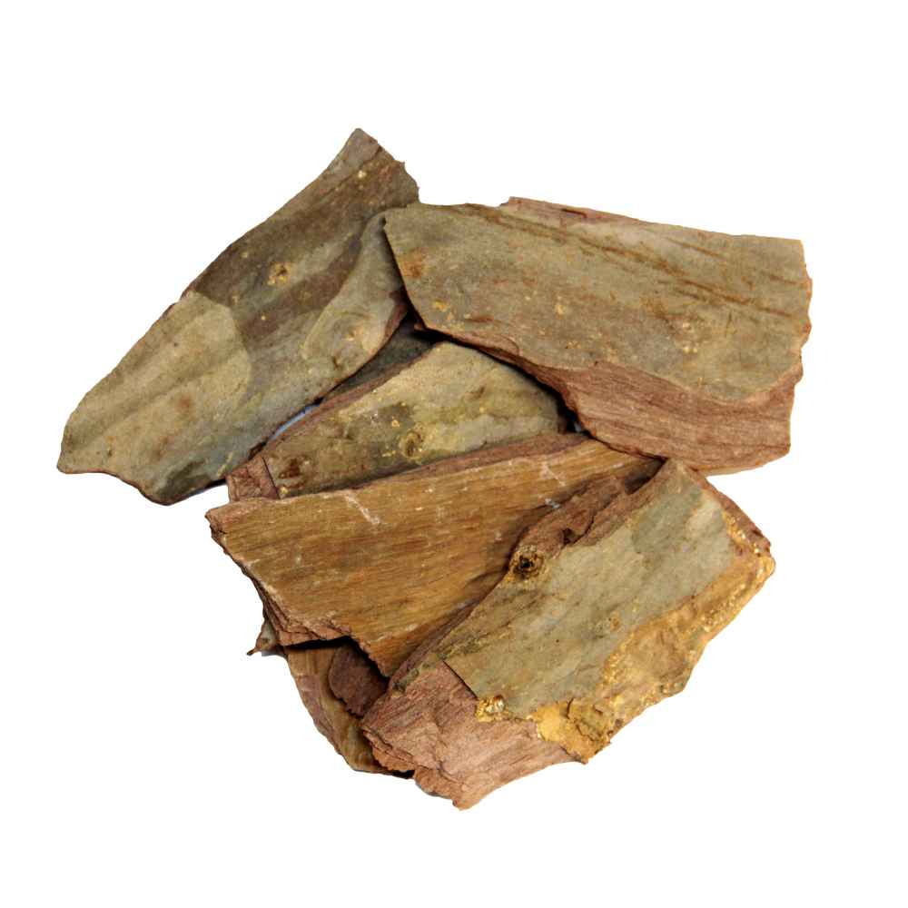 Arjun Chaal | Arjuna Bark | Terminalia Arjuna Roxb - Branzia Herbs