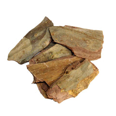 Arjun Chaal | Arjuna Bark | Terminalia Arjuna Roxb - Branzia Herbs