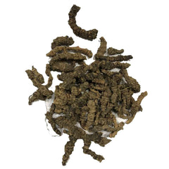 Asaroon | Tagar | Valeriana Wallichii - Branzia Herbs