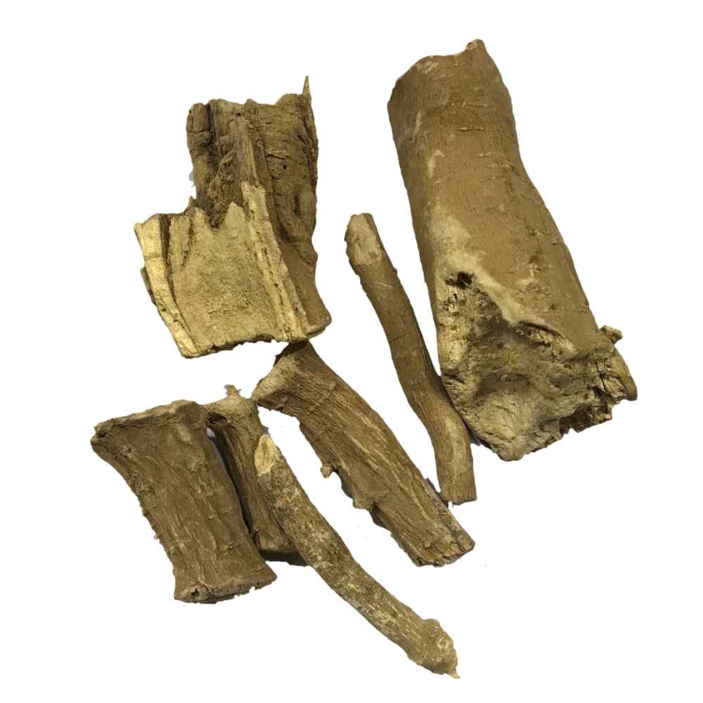 Asgandh Mota | Ashwagandha | Withania Somnifera Dunal - Branzia Herbs