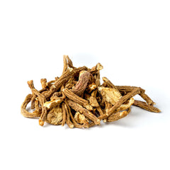 Dried Angelica Root - Branzia Herbs